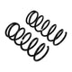Front Coil Spring Set