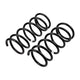 Front Coil Spring Set