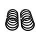 Front Coil Spring Set