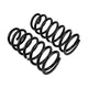 Rear Coil Spring Set <br> 08-11, 13-21 Toyota Land Cruiser