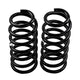 Rear Coil Spring Set <br> 08-11, 13-21 Toyota Land Cruiser