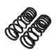 Rear Coil Spring Set <br> 94-04 Land Rover Defender 90, Discovery, Range Rover