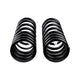 Rear Coil Spring Set <br> 94-04 Land Rover Defender 90, Discovery, Range Rover