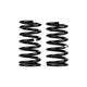 Rear Coil Spring Set <br> 98-00 Toyota RAV4