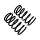 Rear Coil Spring Set <br> 01-04 Toyota RAV4