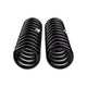 Rear Coil Spring Set