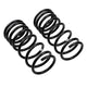 Rear Coil Spring Set