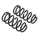 Rear Coil Spring Set <br> 03-09 Toyota 4Runner, 07-09 FJ Cruiser