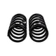 Rear Coil Spring Set <br> 10-23 Toyota 4Runner
