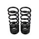 Rear Coil Spring Set <br> 98-02 Isuzu Amigo, Rodeo Sport
