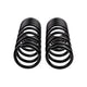 Rear Coil Spring Set <br> 98-02 Isuzu Amigo, Rodeo Sport
