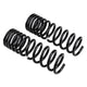 Rear Coil Spring Set <br> 92-02 Isuzu Trooper