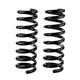 Front Coil Spring Set <br> 99-05 Suzuki Grand Vitara