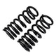Rear Coil Spring Set