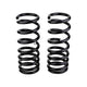 Rear Coil Spring Set