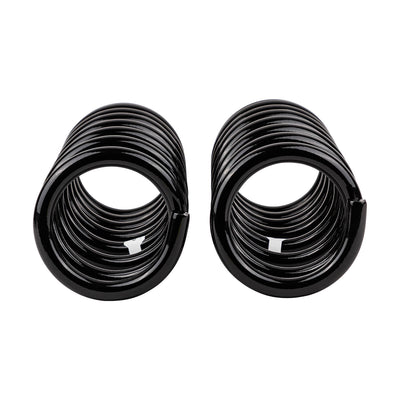 Rear Coil Spring Set