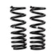 Rear Coil Spring Set