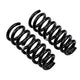 Front Coil Spring Set