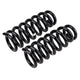 Front Coil Spring Set
