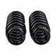 Front Coil Spring Set
