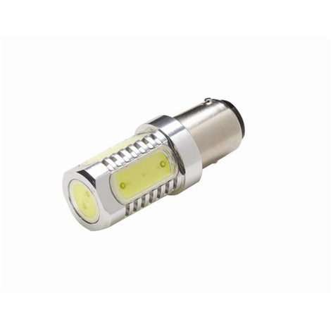 3156 Amber Plasma LED Bulbs <br> Universal