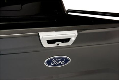TG & Rear Handle Covers <br> 18-20 Ford F-150