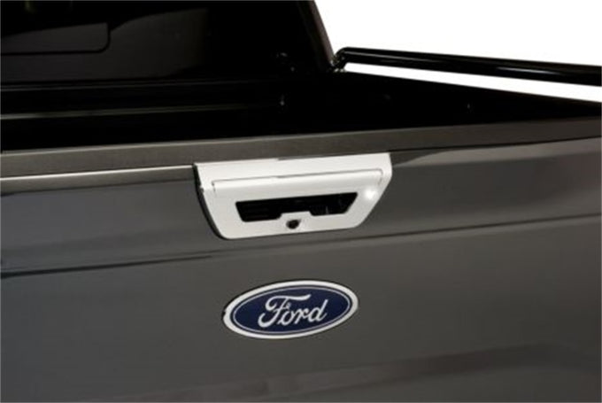 TG & Rear Handle Covers <br> 18-20 Ford F-150