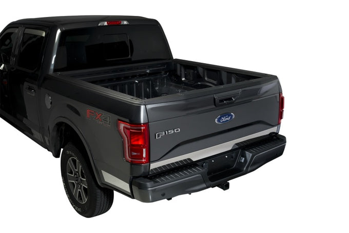 Lower Tailgate Accent <br> 15-20 Ford F-150
