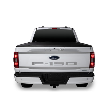 2pcs Upper/Lower Tailgate Accent <br> 21-24 Ford F-150