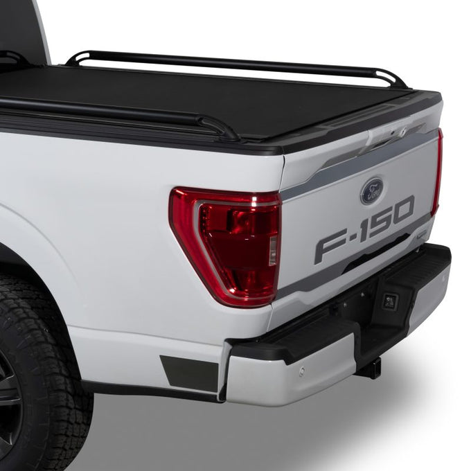 Cut Letters/Black Platinum Tailgate <br> 18-20 Ford F-150
