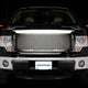 Punch Grille Insert <br> 09-12 Ford F-150
