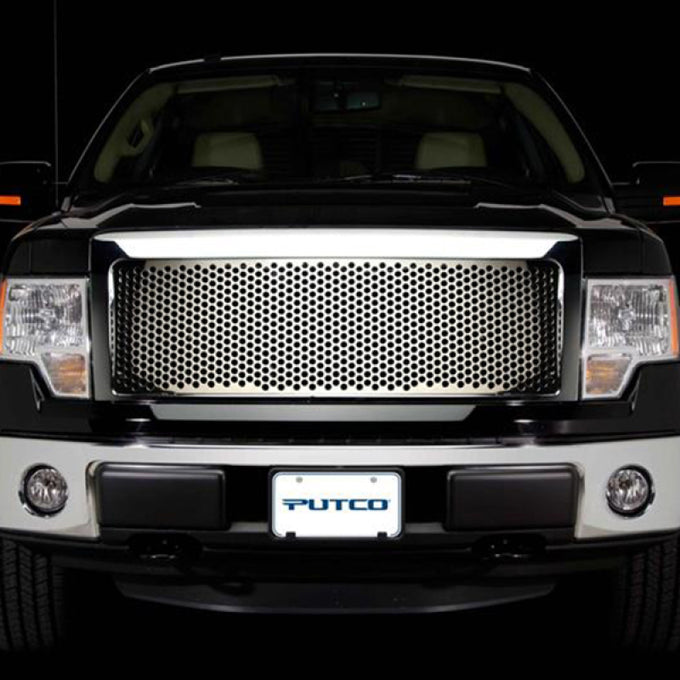Punch Grille Insert <br> 09-12 Ford F-150