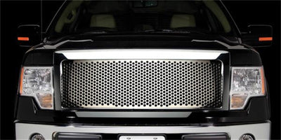 Punch Grille Insert <br> 09-12 Ford F-150