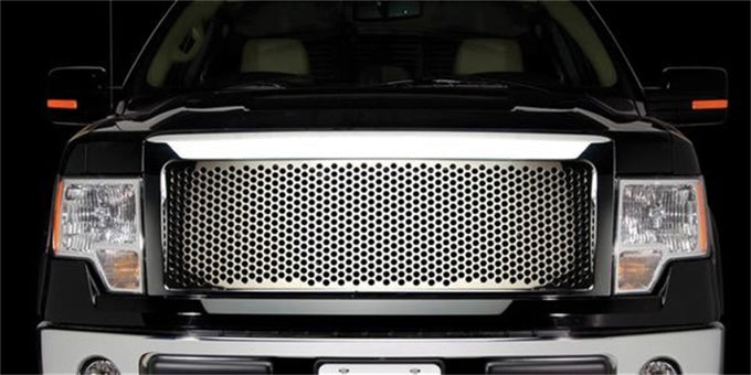 Punch Grille Insert <br> 09-12 Ford F-150