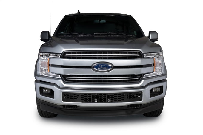 Hex Shield Bumper Grille Inserts <br> 18-20 Ford F-150