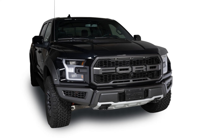 Black Powder Coated Bumper Grille Inserts <br> 17-20 Ford F-150