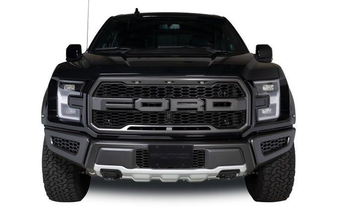 Black Powder Coated Bumper Grille Inserts <br> 17-20 Ford F-150