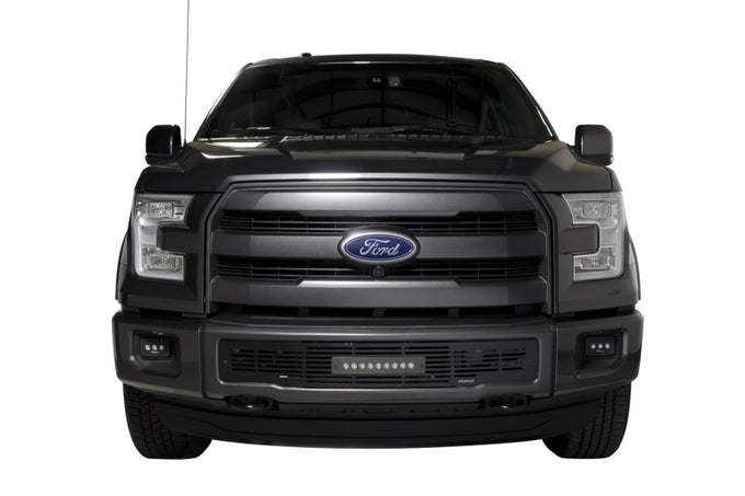 Bumper Grille Inserts w/10in Luminix Light Bar <br> 15-17 Ford F-150
