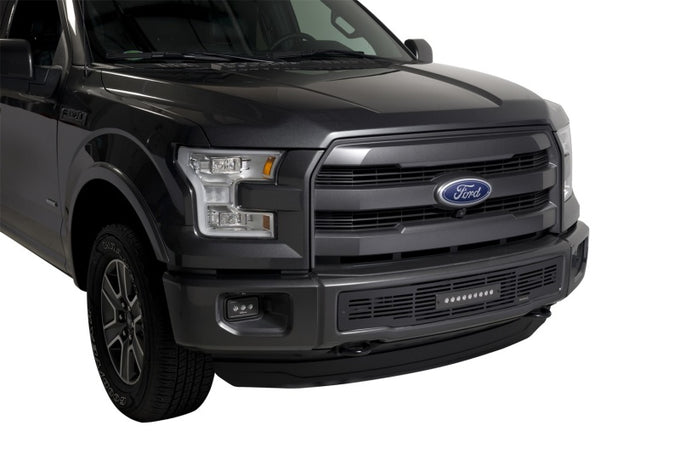 Bumper Grille Inserts w/10in Luminix Light Bar <br> 15-17 Ford F-150