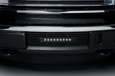 Black SS Bar and 10in Luminix Light Bar <br> 11-14 Ford F-150