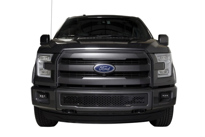 Black Punch Design Bumper Grille Inserts <br> 15-17 Ford F-150