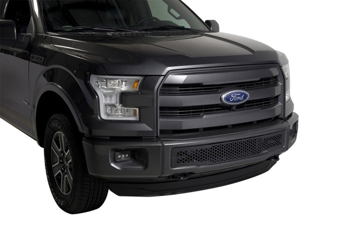 Black Punch Design Bumper Grille Inserts <br> 15-17 Ford F-150