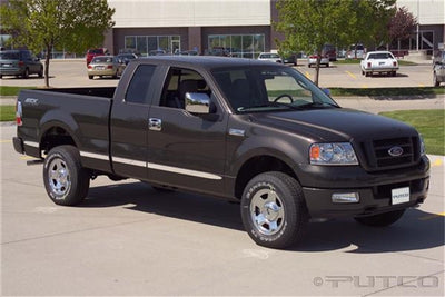 Billet Aluminum Body Side Molding <br> 04-08 Ford F-150