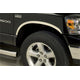 Half Stainless Steel Fender Trim <br> 03-09 Dodge Ram 1500 2500 3500