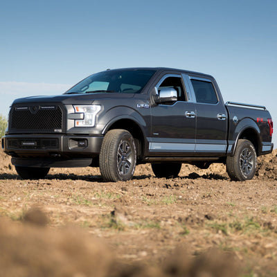 12pcs) SS Rocker Panels <br> 15-20 Ford F-150