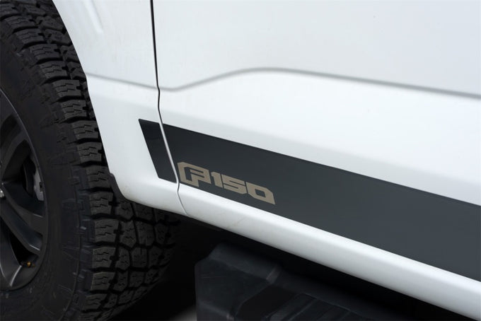 10pcs 4.25in Wide SS Rocker Panels <br> 21-24 Ford F-150