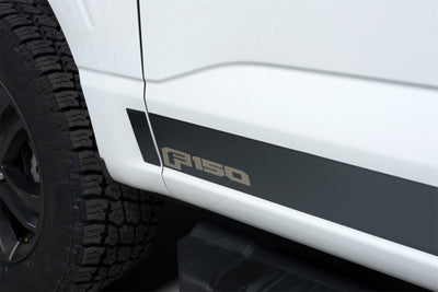 12pcs 4.25in Wide SS Rocker Panels <br> 21-24 Ford F-150