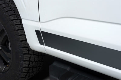 12pcs 4.25in Wide SS Rocker Panels <br> 21-24 Ford F-150