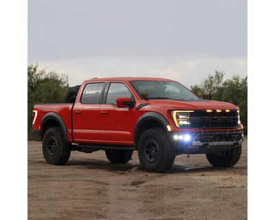 D-Series Fog Lights Kit <br> 21-23 Ford F-150