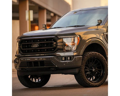 D-Series Dual Fog Light Kit <br> 21-23 Ford F-150